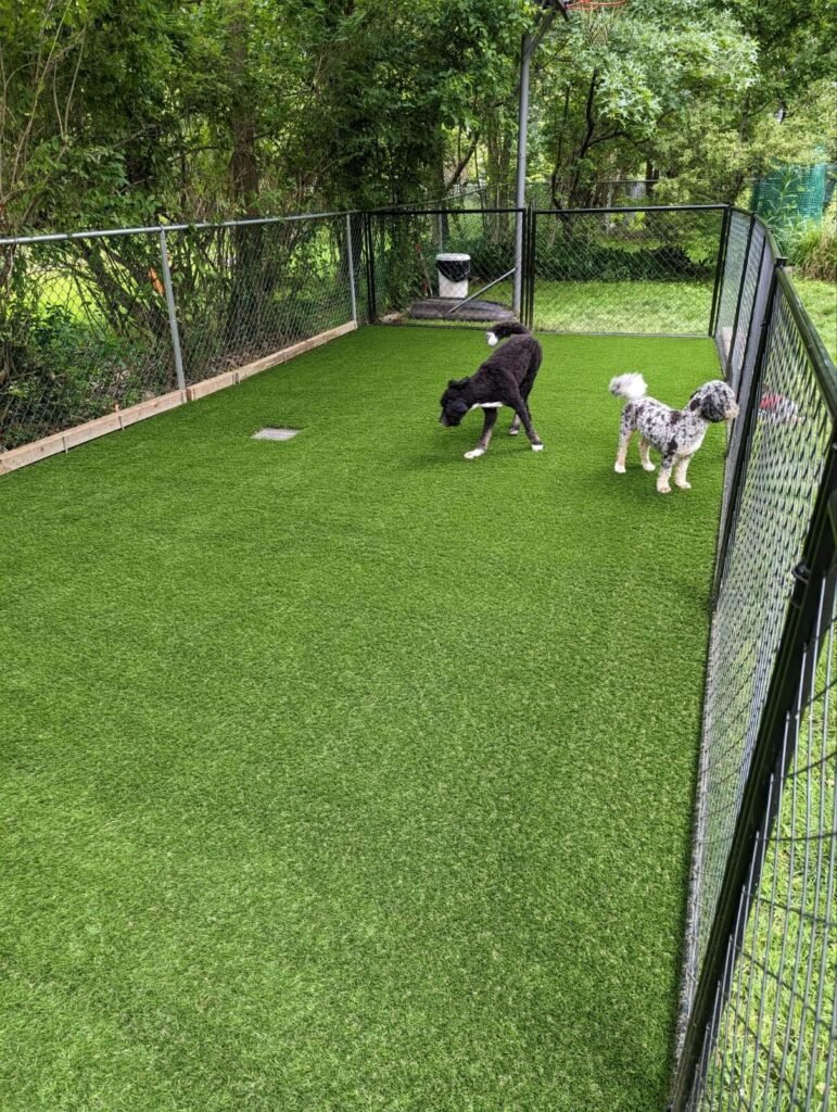 Dog resting on artificial grass lawn