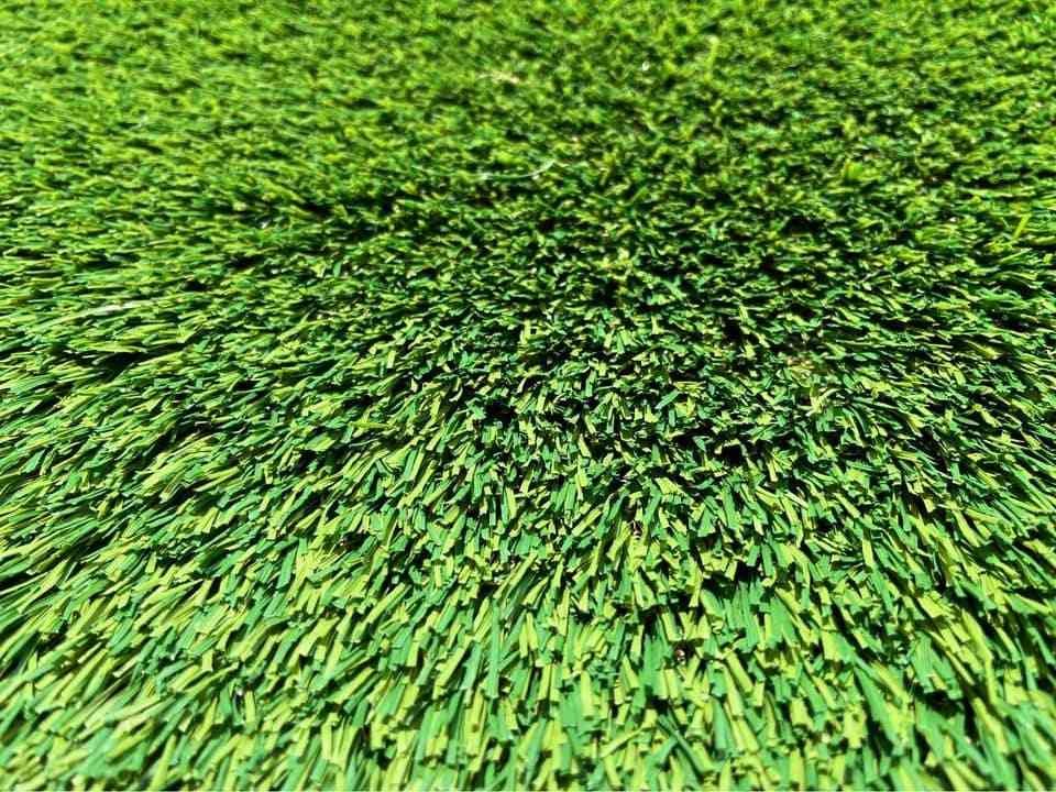 artificial grass dogs